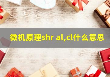 微机原理shr al,cl什么意思